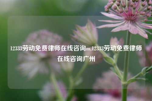 12333劳动免费律师在线咨询m,12333劳动免费律师在线咨询广州