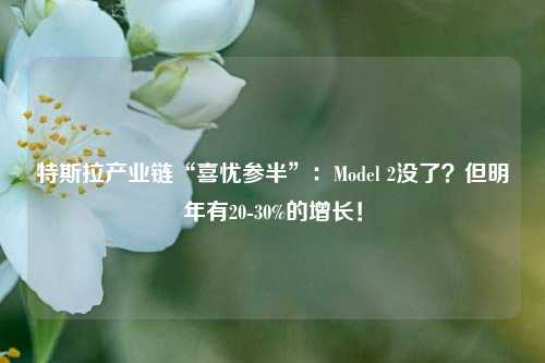 特斯拉产业链“喜忧参半”：Model 2没了？但明年有20-30%的增长！