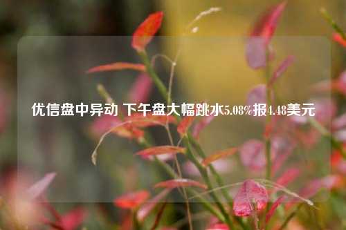 优信盘中异动 下午盘大幅跳水5.08%报4.48美元