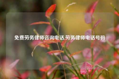 免费劳务律师咨询电话,劳务律师电话号码