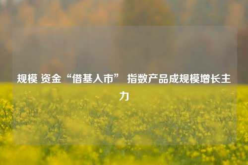 规模 资金“借基入市” 指数产品成规模增长主力