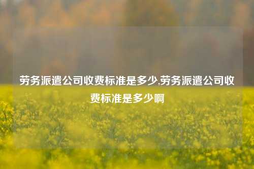 劳务派遣公司收费标准是多少,劳务派遣公司收费标准是多少啊