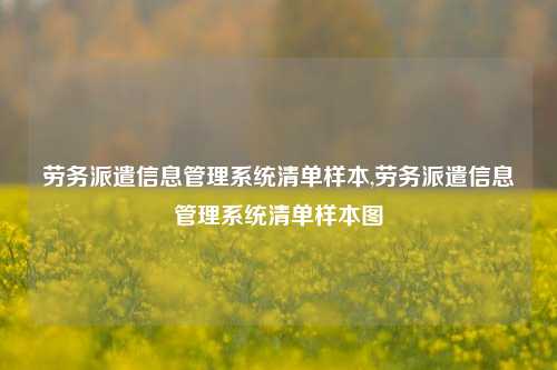 劳务派遣信息管理系统清单样本,劳务派遣信息管理系统清单样本图