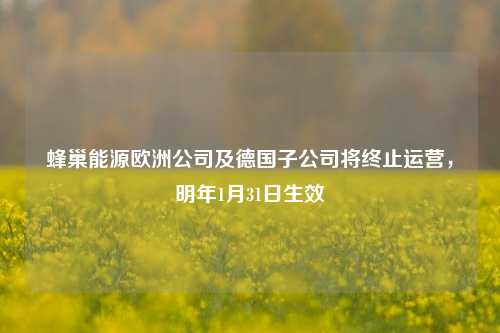 蜂巢能源欧洲公司及德国子公司将终止运营，明年1月31日生效