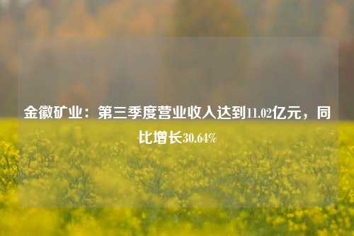 金徽矿业：第三季度营业收入达到11.02亿元，同比增长30.64%