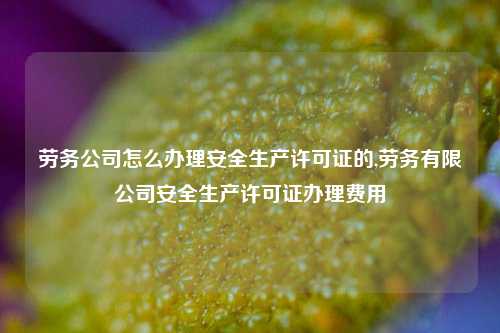 劳务公司怎么办理安全生产许可证的,劳务有限公司安全生产许可证办理费用