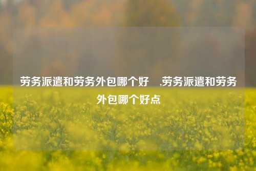 劳务派遣和劳务外包哪个好炿,劳务派遣和劳务外包哪个好点