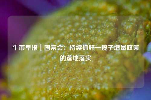 牛市早报｜国常会：持续抓好一揽子增量政策的落地落实