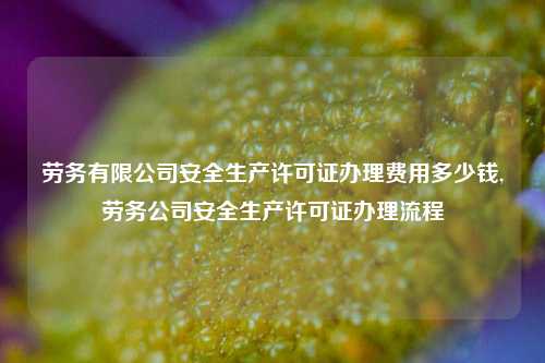 劳务有限公司安全生产许可证办理费用多少钱,劳务公司安全生产许可证办理流程