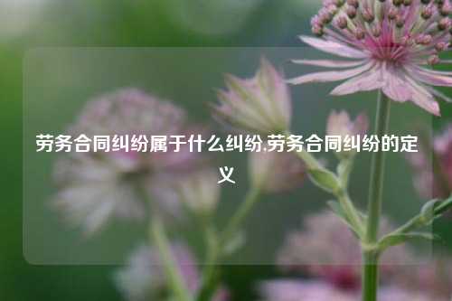 劳务合同纠纷属于什么纠纷,劳务合同纠纷的定义