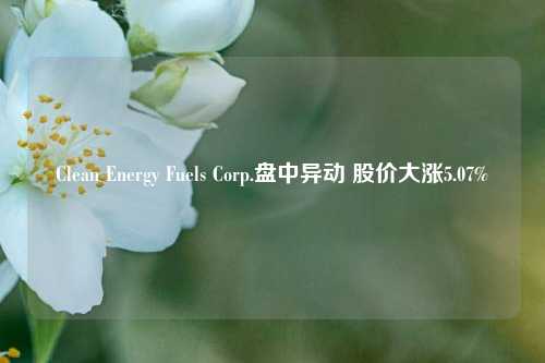 Clean Energy Fuels Corp.盘中异动 股价大涨5.07%