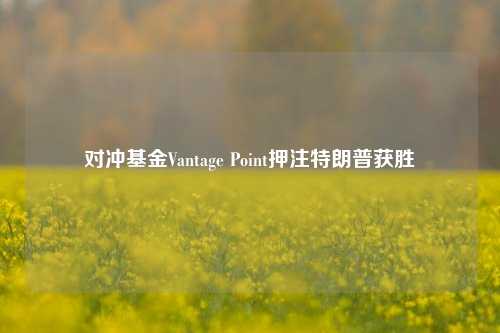 对冲基金Vantage Point押注特朗普获胜