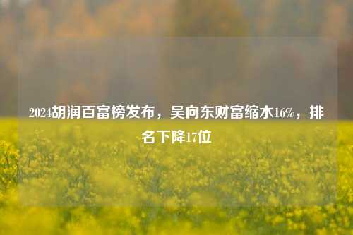 2024胡润百富榜发布，吴向东财富缩水16%，排名下降17位