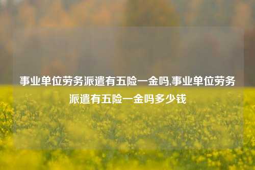 事业单位劳务派遣有五险一金吗,事业单位劳务派遣有五险一金吗多少钱