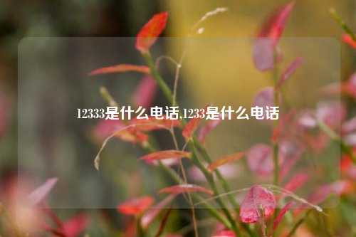 12333是什么电话,1233是什么电话