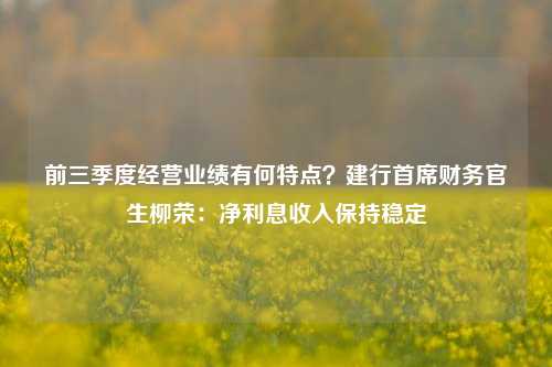 前三季度经营业绩有何特点？建行首席财务官生柳荣：净利息收入保持稳定