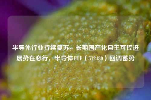 半导体行业持续复苏，长期国产化自主可控进展势在必行，半导体ETF（512480）回调蓄势