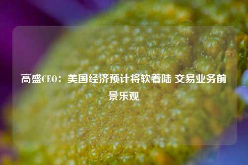 高盛CEO：美国经济预计将软着陆 交易业务前景乐观