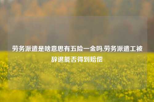 劳务派遣是啥意思有五险一金吗,劳务派遣工被辞退能否得到赔偿