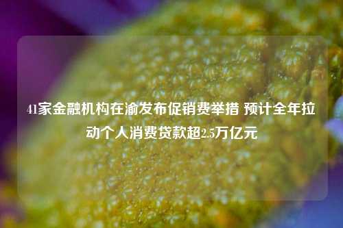 41家金融机构在渝发布促销费举措 预计全年拉动个人消费贷款超2.5万亿元