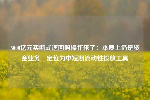 5000亿元买断式逆回购操作来了：本质上仍是资金业务 定位为中短期流动性投放工具