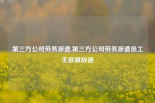 第三方公司劳务派遣,第三方公司劳务派遣员工无故被辞退