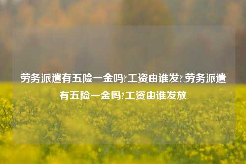 劳务派遣有五险一金吗?工资由谁发?,劳务派遣有五险一金吗?工资由谁发放