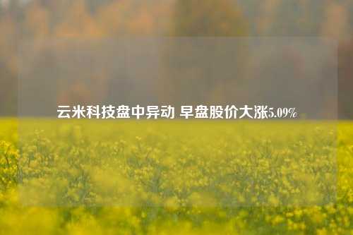 云米科技盘中异动 早盘股价大涨5.09%