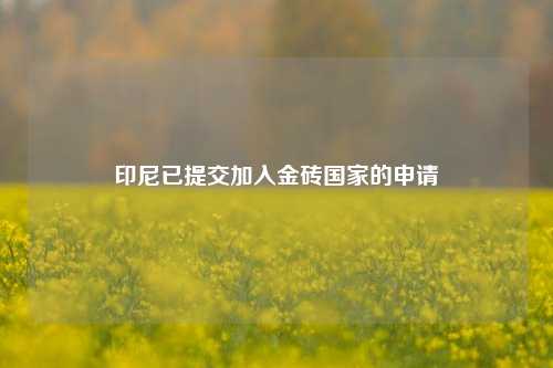 印尼已提交加入金砖国家的申请