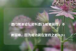 澳门精准论坛资料澳门,砥砺前行，不畏困难，因为成功就在坚持之后19.29.1