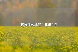 这是什么样的“化债”？