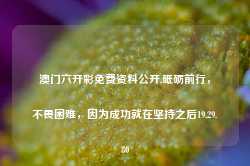 澳门六开彩免费资料公开,砥砺前行，不畏困难，因为成功就在坚持之后19.29.80