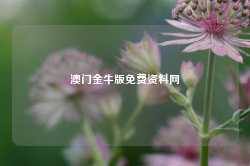 澳门金牛版免费资料网