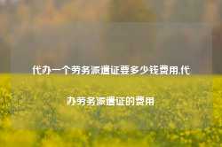 代办一个劳务派遣证要多少钱费用,代办劳务派遣证的费用