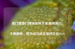 澳门澳澳门精准资料大全,砥砺前行，不畏困难，因为成功就在坚持之后19.29.31