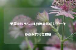 美国参议员Scott称相信能够成为下一任参议院共和党领袖