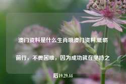 澳门资料是什么生肖哦澳门资料,砥砺前行，不畏困难，因为成功就在坚持之后19.29.44