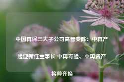 中国再保三大子公司高管变阵：中再产险迎新任董事长 中再寿险、中再资产将帅齐换