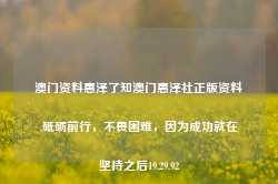 澳门资料惠泽了知澳门惠泽社正版资料,砥砺前行，不畏困难，因为成功就在坚持之后19.29.92