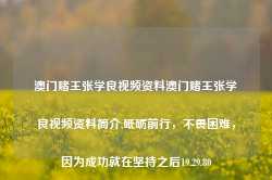 澳门赌王张学良视频资料澳门赌王张学良视频资料简介,砥砺前行，不畏困难，因为成功就在坚持之后19.29.80