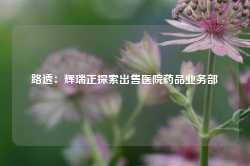 路透：辉瑞正探索出售医院药品业务部