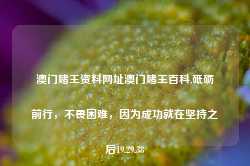 澳门赌王资料网址澳门赌王百科,砥砺前行，不畏困难，因为成功就在坚持之后19.29.38