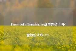 Barnes  Noble Education, Inc盘中异动 下午盘股价大跌5.13%