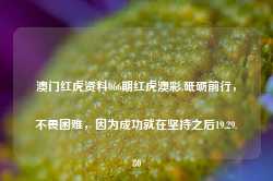 澳门红虎资料066期红虎澳彩,砥砺前行，不畏困难，因为成功就在坚持之后19.29.80