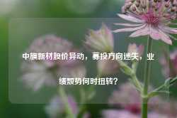 中旗新材股价异动，募投方向迷失，业绩颓势何时扭转？-第1张图片-佛山市川丘建筑工程劳务有限公司