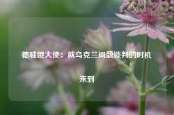 德驻俄大使：就乌克兰问题谈判的时机未到