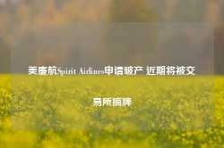 美廉航Spirit Airlines申请破产 近期将被交易所摘牌