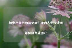 锂电产业链即将见底？业内人士预计明年价格有望回升-第1张图片-佛山市川丘建筑工程劳务有限公司