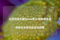 比特币首次触及95000美元 特朗普考虑设职位负责加密货币政策