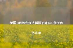 美国10月领先经济指数下降0.5% 逊于预估水平